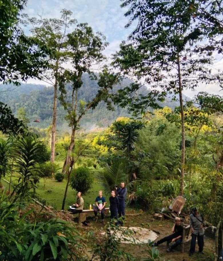 Batu Kapal Guest House & Jungle Trekking Bukit Lawang Exteriör bild