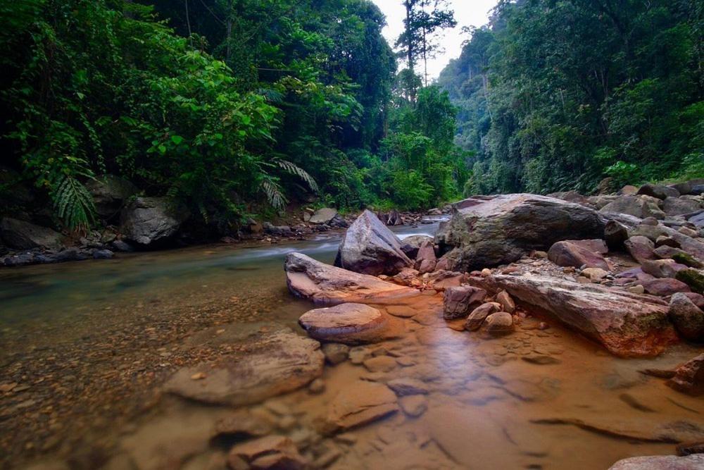 Batu Kapal Guest House & Jungle Trekking Bukit Lawang Exteriör bild