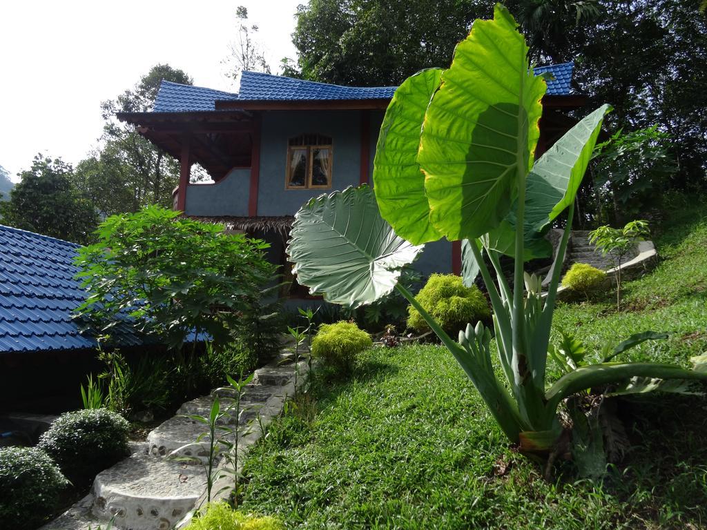 Batu Kapal Guest House & Jungle Trekking Bukit Lawang Exteriör bild