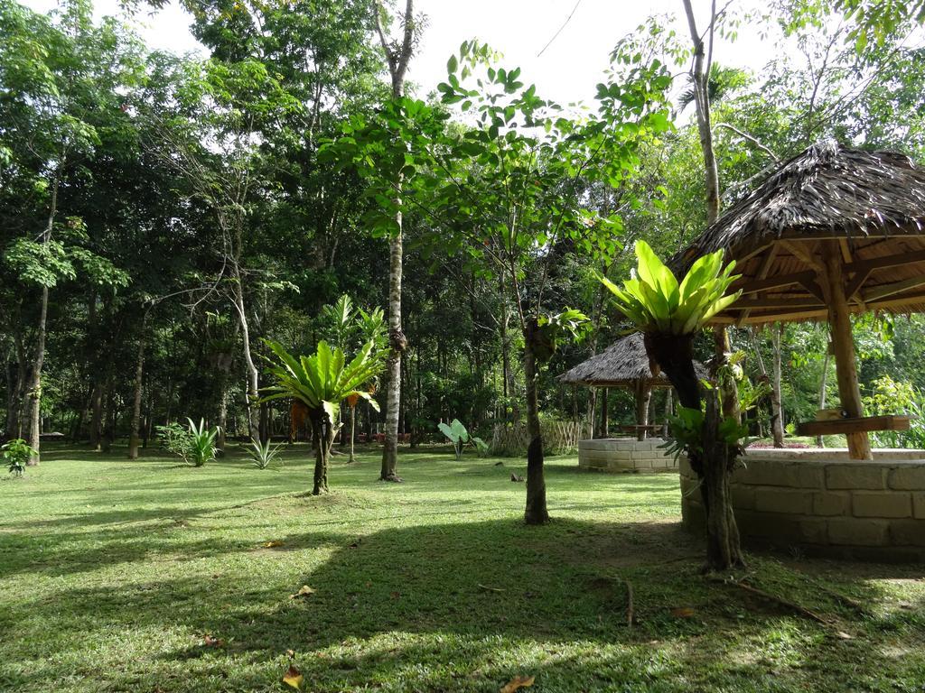 Batu Kapal Guest House & Jungle Trekking Bukit Lawang Exteriör bild
