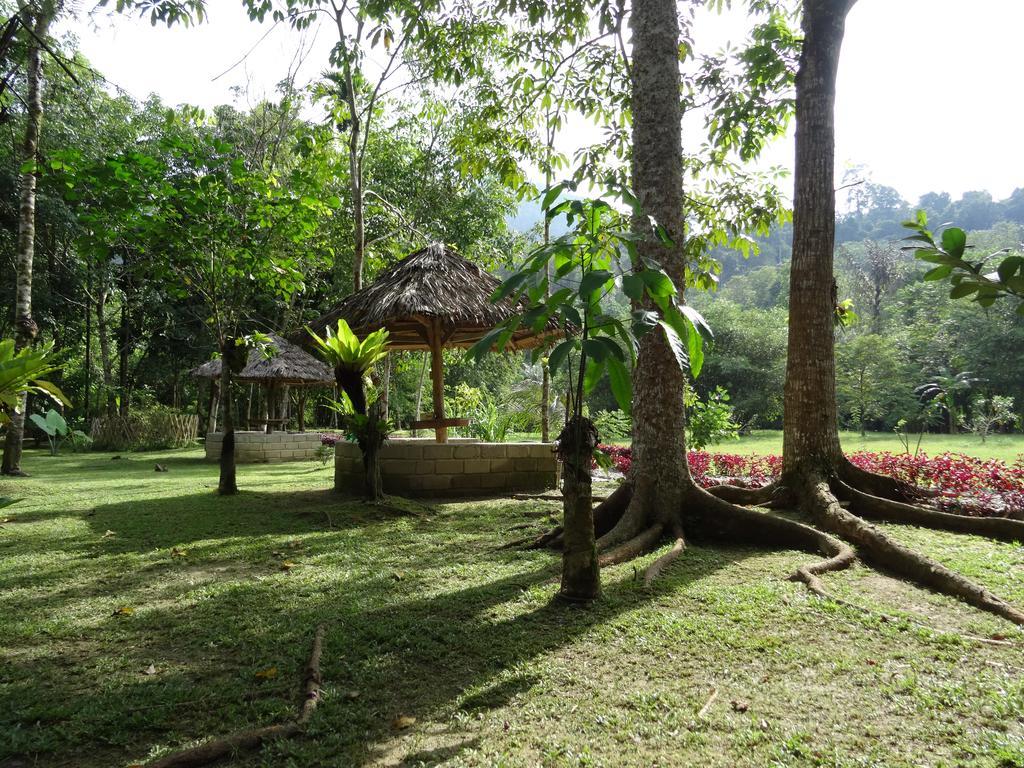 Batu Kapal Guest House & Jungle Trekking Bukit Lawang Exteriör bild